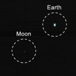 marco crop marco crop